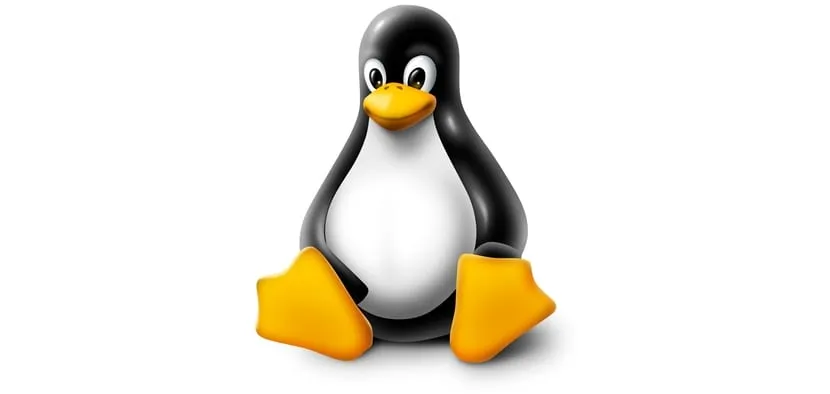 Linux Cgroups Controller